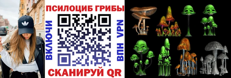 как найти   Кочубеевское  Галлюциногенные грибы Cubensis 