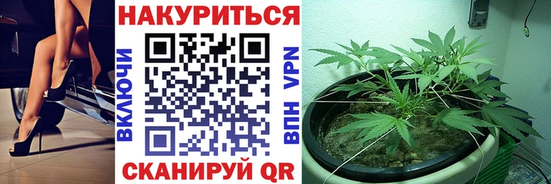 Конопля план  OMG зеркало  Кочубеевское 